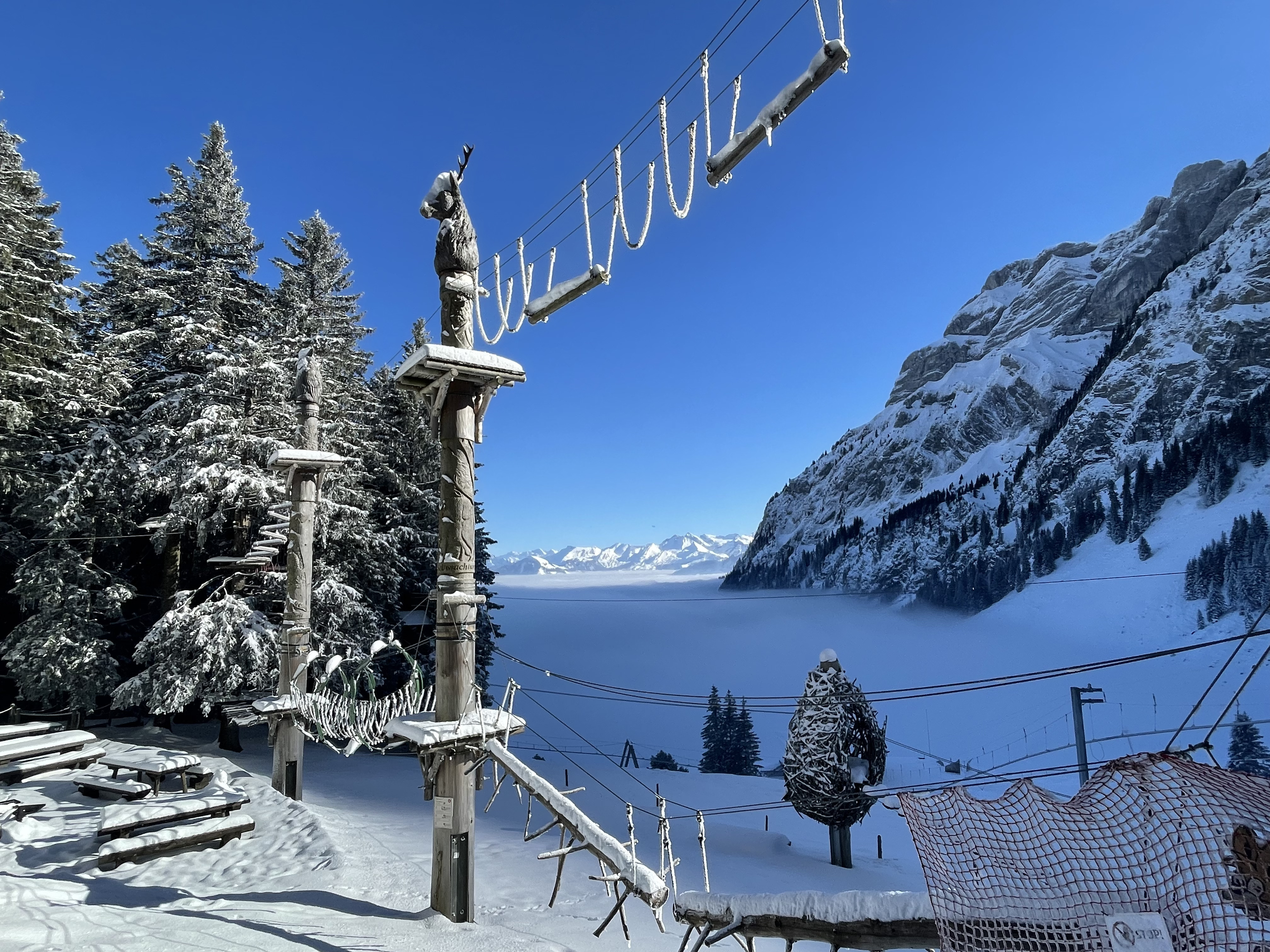 拨云见日：从浓雾到云海，皮拉图斯雪山 Hiking